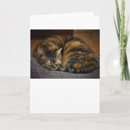 低速日、カード カード