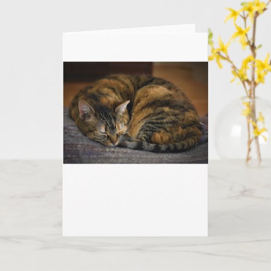 低速日、カード カード (黄色い花)