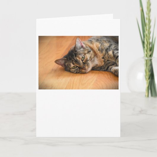 低速日、カード カード (正面)