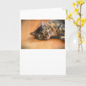 低速日、カード カード (黄色い花)