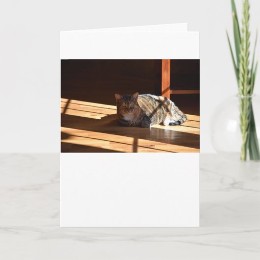 低速日、カード カード (正面)