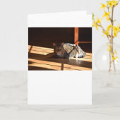 低速日、カード カード (黄色い花)