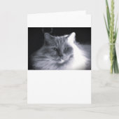 低速日、カード カード (正面)