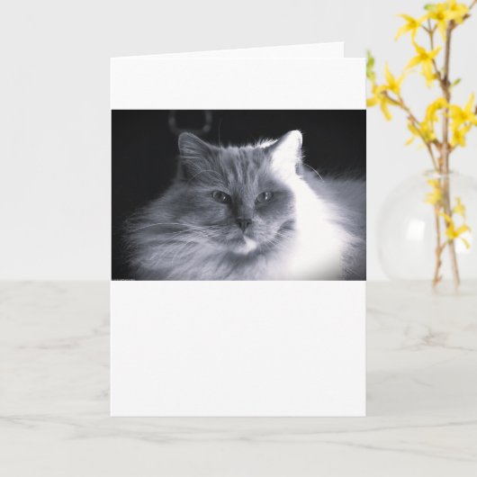 低速日、カード カード (黄色い花)