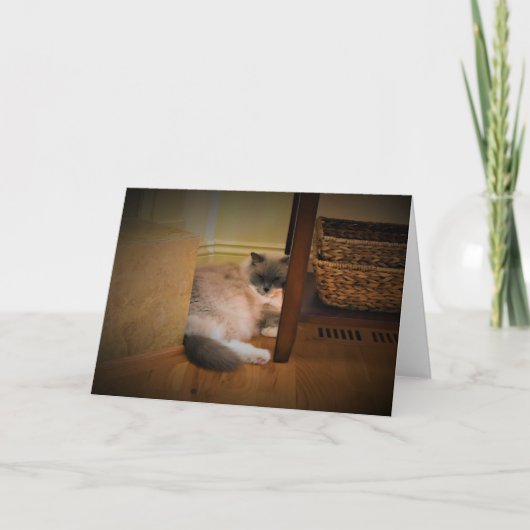 低速日、カード カード (正面)