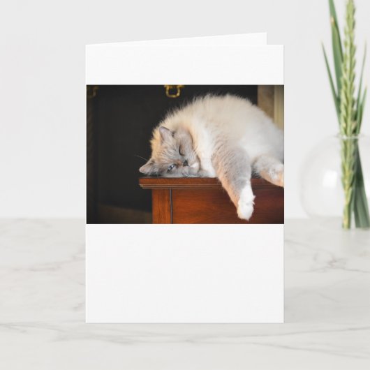 低速日、カード カード (正面)