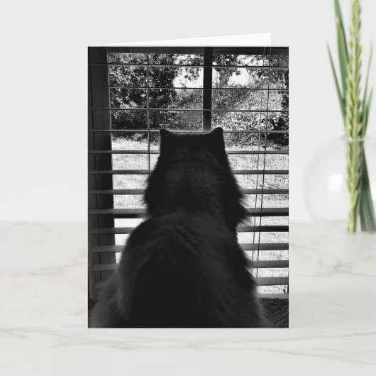 低速日、カード カード (正面)