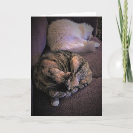 低速日、カード カード (正面)