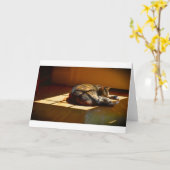 低速日、カード カード (黄色い花)