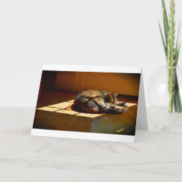 低速日、カード カード