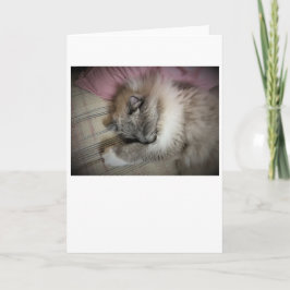 低速日、カード カード