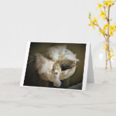 低速日、カード カード (黄色い花)