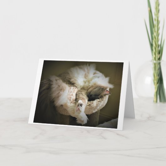 低速日、カード カード (正面)