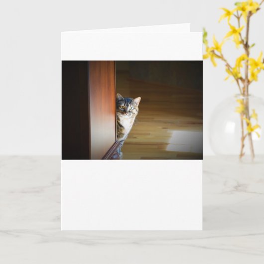 低速日、カード カード (黄色い花)