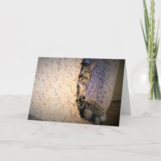 低速日、カード カード (正面)