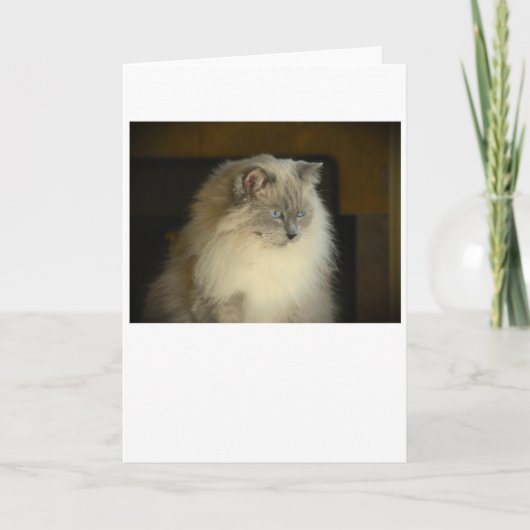 低速日、カード カード (正面)