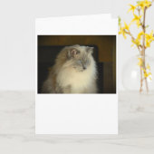 低速日、カード カード (黄色い花)