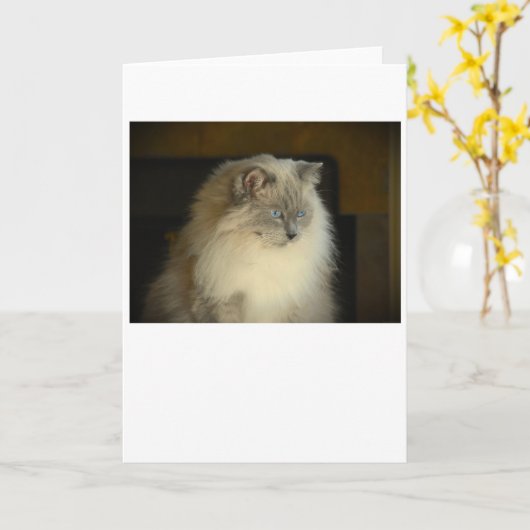 低速日、カード カード (黄色い花)