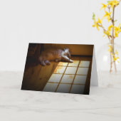 低速日、カード カード (黄色い花)