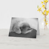 低速日、カード カード (黄色い花)