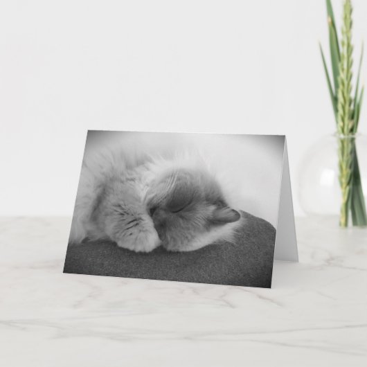 低速日、カード カード (正面)