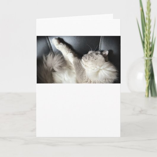 低速日、カード カード (正面)