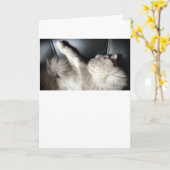 低速日、カード カード (黄色い花)