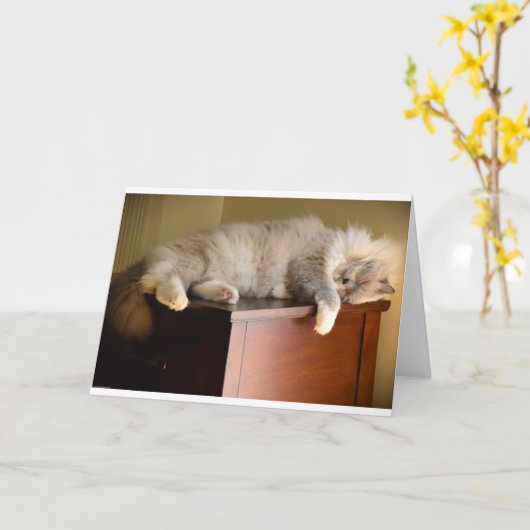 低速日、カード カード (黄色い花)