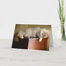 低速日、カード カード