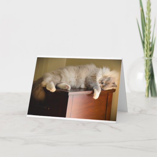 低速日、カード カード (正面)