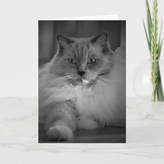 低速日、カード カード (正面)