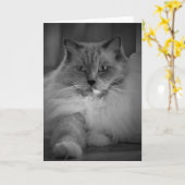 低速日、カード カード (黄色い花)