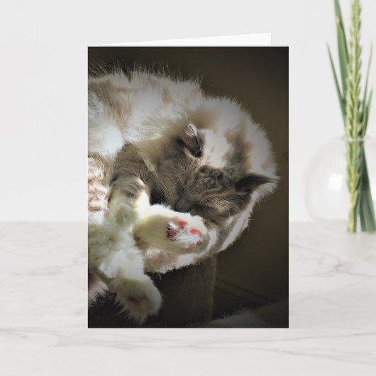 低速日、カード カード (正面)