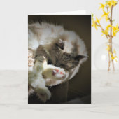 低速日、カード カード (黄色い花)