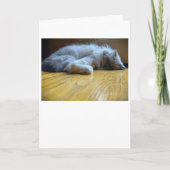 低速日、カード カード (正面)