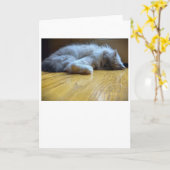 低速日、カード カード (黄色い花)