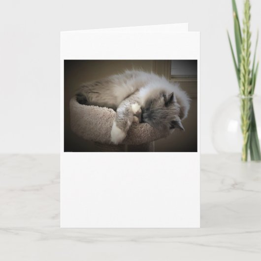 低速日、カード カード (正面)