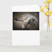 低速日、カード カード (黄色い花)