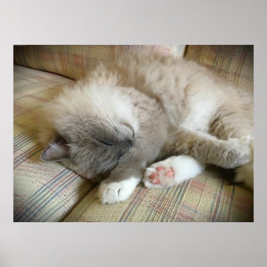 低速日、 ポスター (正面)