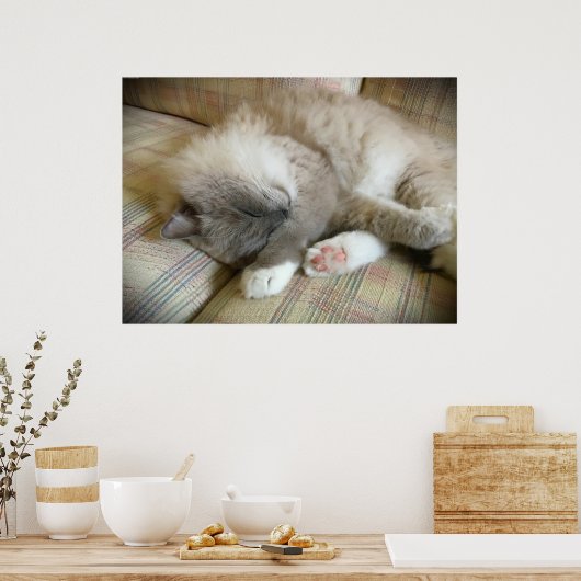 低速日、 ポスター (キッチン)