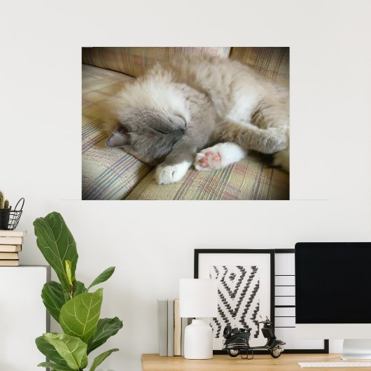 低速日、 ポスター (ホームオフィス)