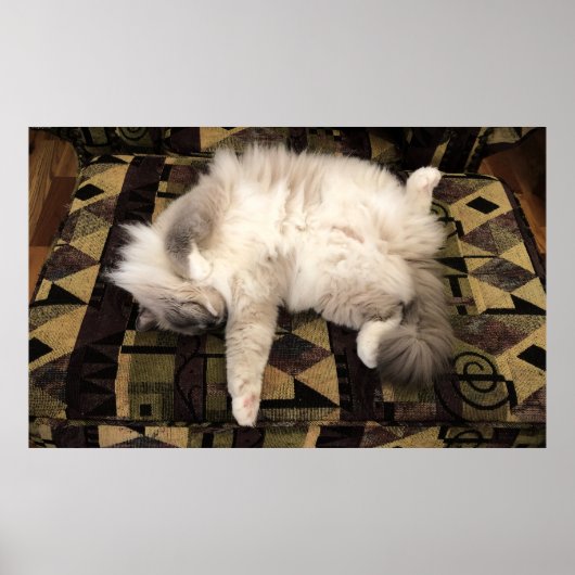 低速日、 ポスター (正面)