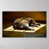 低速日、 ポスター (正面)