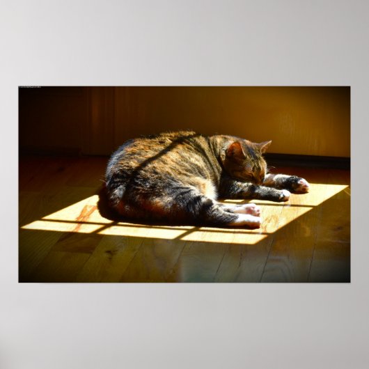 低速日、 ポスター (正面)