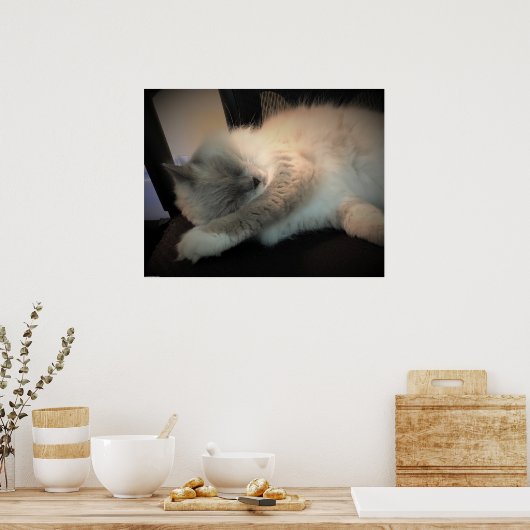 低速日、 ポスター (キッチン)