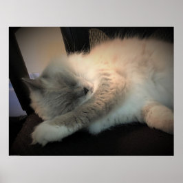 低速日、 ポスター