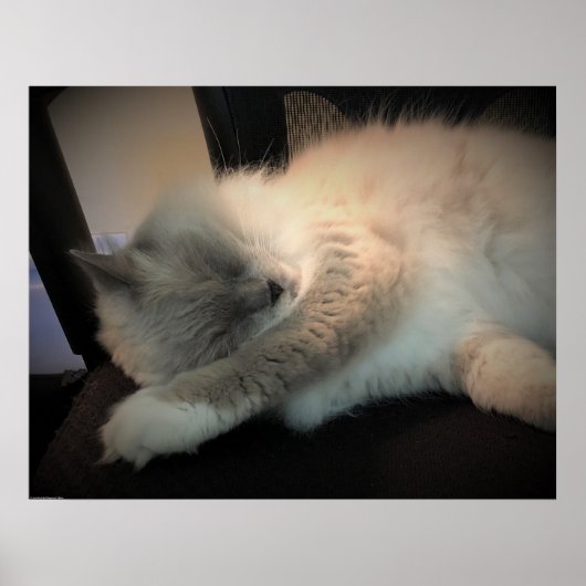 低速日、 ポスター (正面)