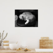 低速日、 ポスター (キッチン)