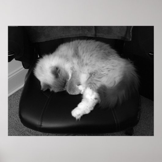 低速日、 ポスター (正面)