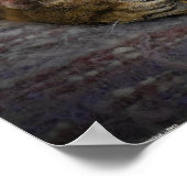 低速日、 ポスター (角)